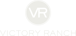 VR Victory Ranch
