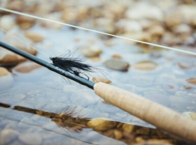 The River at Victory Ranch
